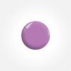 303 - Violet Lovers