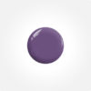 Bird of Paradise - BP17 Crowned Purple Jewel